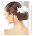 /album/photo-gallery-wedding-hairstyles/bridal-hairstyles-jpg/